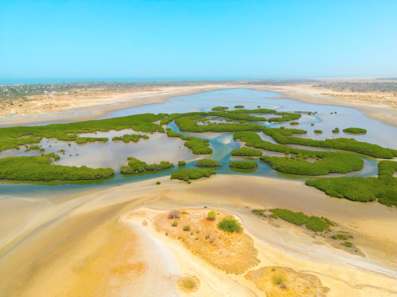 Delta du Sine Saloum